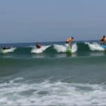 Surf3